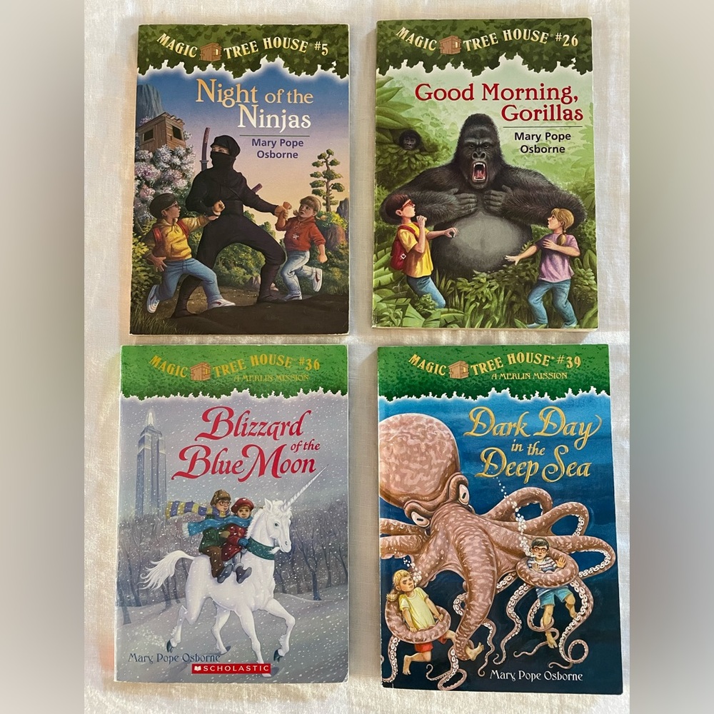 Magic Tree House Books (4 included).  Excellent used condition.